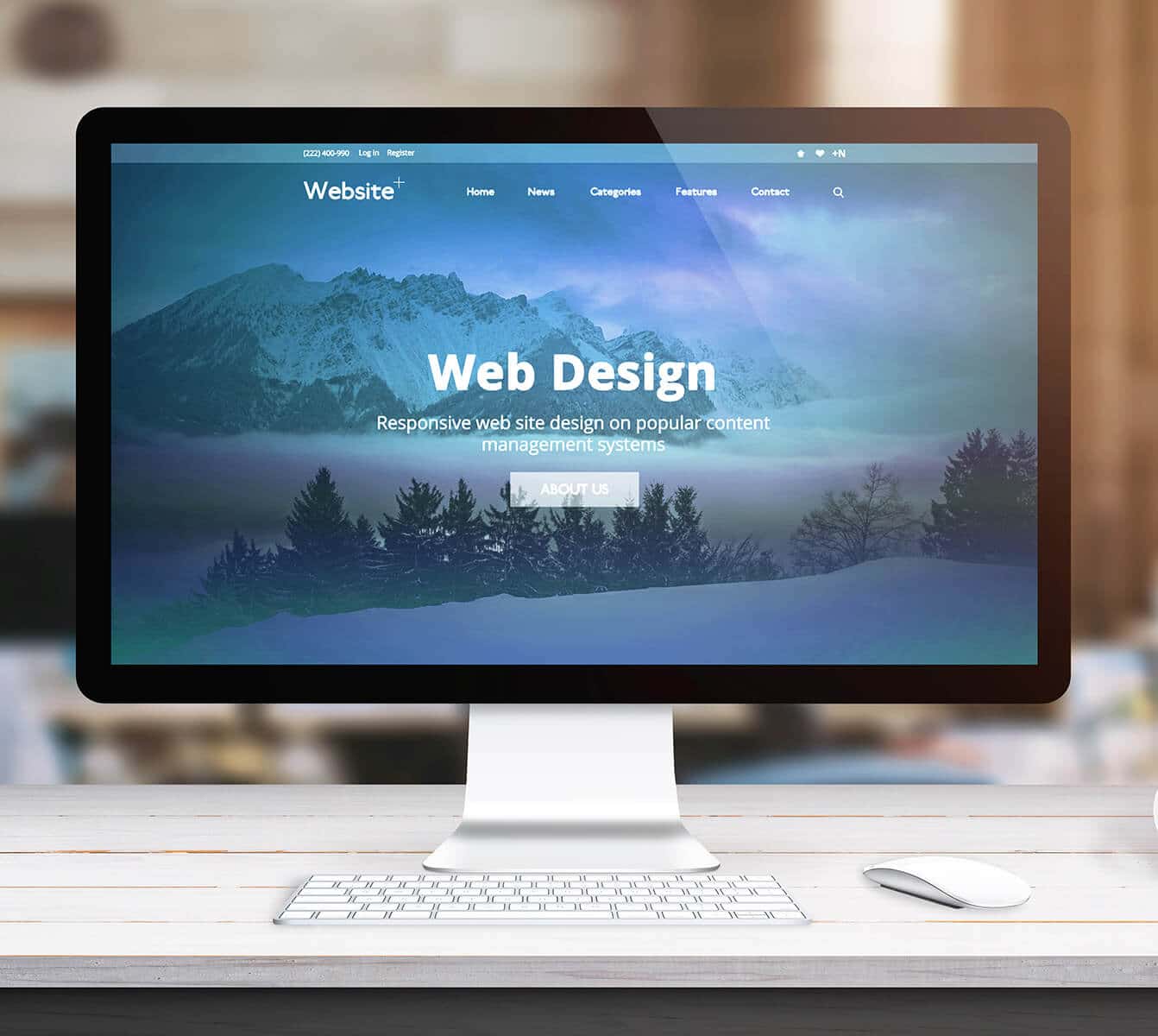 website design development