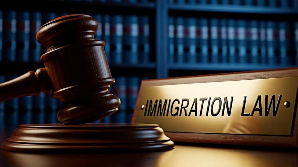 Immigration Law Firm SEO Services